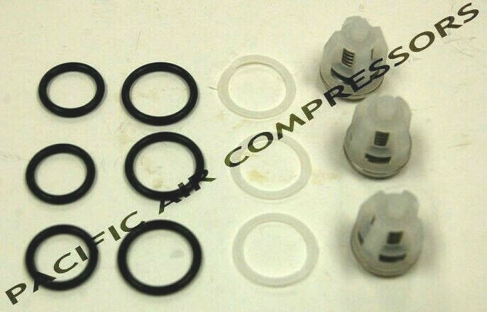 33060 BE CAT PUMPS VALVE KIT FOR 5CP3120 / 5CP5120