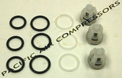 33060 BE CAT PUMPS VALVE KIT FOR 5CP3120 / 5CP5120