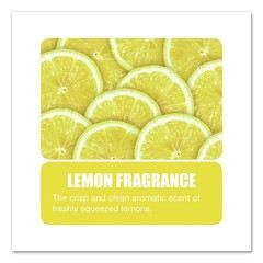 Big D Industries 1618 1 gal. Water-Soluble Deodorant – Lemon Scent (4/CT) New