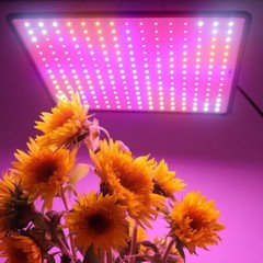LED Plant Grow Light Full Spectrum Plant UV Veg Lamp For Indoor Hydroponic