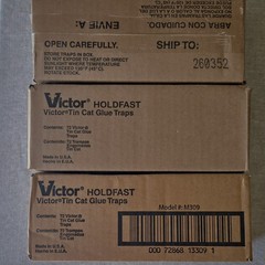 Victor Holdfast M309 Glue Traps Indoor Mouse & Rat Control (72 Traps) 1 Box