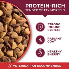 Purina One Small Bites Beef And Rice Formula Small High Protein Dry Dog Food