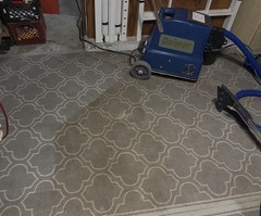 Daimer XTreme Power XPH-5900IU Walk-Behind Carpet Extractor, Wand, 110-120V