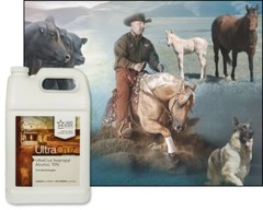 UltraCruz Isopropyl Alcohol, 70%, 4 x 1 Gallon