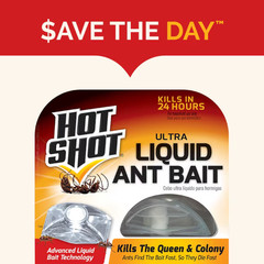 Hot Shot ULTRA Liquid 0.45-fl oz Ready to use Ant bait station 4-Pack-Lots of 6