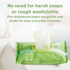 McKesson Flushable* Personal Wipe 6-9/10 X 7 Inch FLU96 6 Pack 576 Wipes