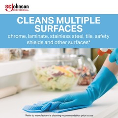 SC Johnson Professional Windex Glass and More 1 Count (Pack of 4), Blue