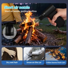Electric Air Duster & Vacuum Cleaner, 130000 High-RPM Brushless Motor, Black