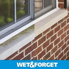 Wet & Forget Outdoor Moss, Mold, Mildew, & 64 Fluid Ounces, Ready to Use