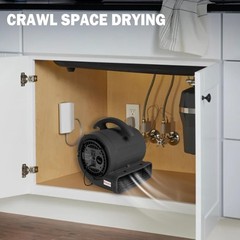 MOUNTO 1/5hp 650cfm mini Commercial Air Mover Carpet drying blower