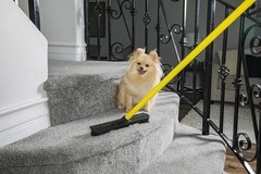 Furemover Pet Hair Removal Rubber Broom 58 Telescopic Handle Sw-250I-Amz-6
