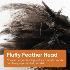 Superio Ostrich Feather Duster Fluffy Dust Remover Wooden Handle Reusable For