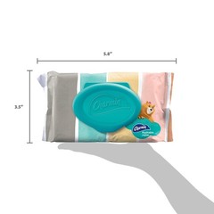 Charmin Flushable Wipes, 40 count per pack 40 Count (Pack of 1)