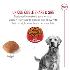 Royal Canin Breed Health Nutrition Golden Retriever Adult Dry Dog Food 5 Lb Bag