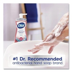 Dial 17000 34727 Anti-bac Foaming Hand Wash – Power Berries Scent (8/Carton) New