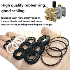 NEW 34262 Seals Rebuild Kit for Cat Pump 66DX 6DX Pressure Washer Pump 6DX35G1I