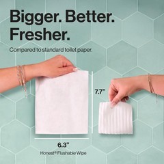 The Honest Company Hypoallergenic 42 Count (Pack of 3), Tropical Leaves