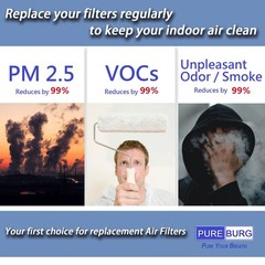 PUREBURG Replacement Filter Compatible With ONE Products Neo(OSAP01) & Athena…