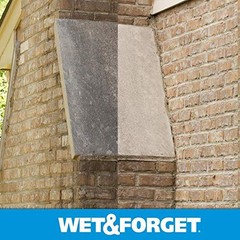 Wet & Forget Outdoor Moss, Mold, Mildew, & 64 Fluid Ounces, Ready to Use
