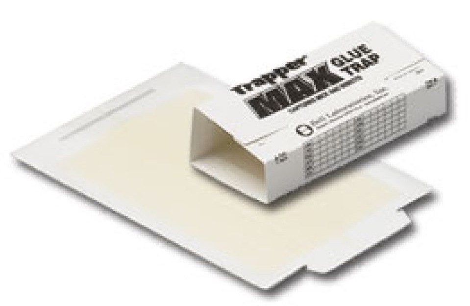 72 Trapper Max Glue Board Traps Control Mouse Mice Insect Spider Lizards etc