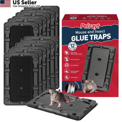 Glue Mouse Traps Indoor for Home -12 Pack Sticky MouseTraps black