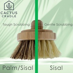 Cactuscradle Cactus Cradle Bamboo Scrub Brush Kit 4-Piece Dish Brush Set 2