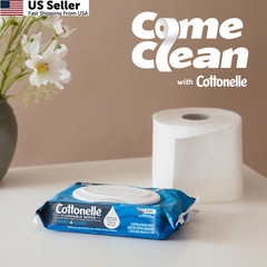 Fresh Feel Flushable Wet Wipes Adult 8 Flip-Top Packs 336 Total Wipes USA