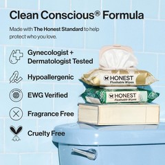 The Honest Company Hypoallergenic Flushable Wipes 42 Count (Pack of 1), White