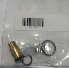 76188 Check Valve Kit / Cat Pumps 66DX35G1I And Unloaders 7850,7860