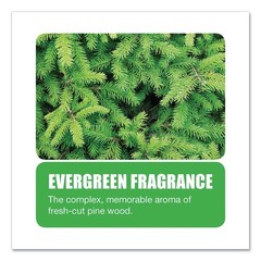 Big D Industries 661 Non-Para Toilet Bowl Block – Evergreen, White (12/Box) New