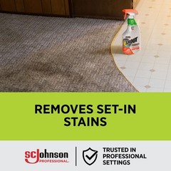 SC Johnson Professional SHOUT® Carpet Set-In Stain Remover 22oz, Case Pack