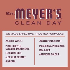 CLEAN DAY Dish Soap, Fall Leaves Scent, 16 fl oz (Pack of 3)