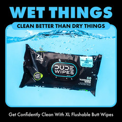 DUDE Wipes, Flushable Wipes, Extra Large and Fragrance-Free Wipes (400 ct.)