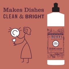 CLEAN DAY Dish Soap, Fall Leaves Scent, 16 fl oz (Pack of 3)