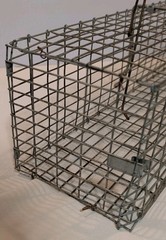 Pair of Live Animal Traps 1-18″ Little Giant Reinforced Single Door Entry 1- 16″