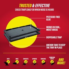 Catchmaster Rat & Mouse Glue Traps with Sticky Putty 2Pk, Large 2 Pack, B&W