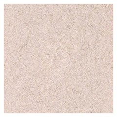 Boardwalk Natural Hog Hair Burnishing Floor Pads, 21″ Diameter, Tan, 5/Carton