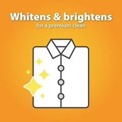 Ultimate Fresh Original Clean Laundry Detergent Odor Eliminating Liquid 88oz New