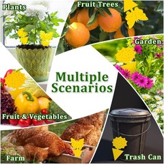 Fruit Fly Traps Indoor Fungus Gnat Trap 48PCS for Plants Yellow 48PCS,
