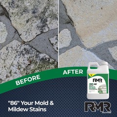 RMR-86 Instant Mold Stain and Mildew Remover 320 Fl Oz (Pack of 1)