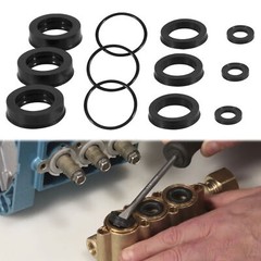 76975 Seal Kit Cat Pump Seal Kit for 4DNX Pumps Model 4DNX25GSI 4DNX27GSI