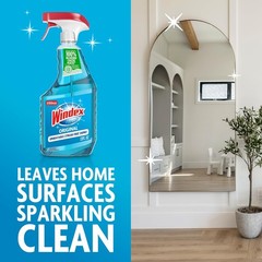 Windex Glass and Window Cleaner Spray Bottle, Packaging Designed to Prevent Leak