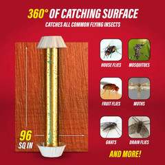 Catchmaster 24” Gold Stick Restaurant Fruit Fly Traps (New, 2 Pack!)
