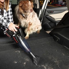 Shop-Vac 5430087 Handheld Vacuum Cordless Rechargeable Lithium 20V Lightweight