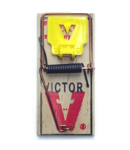 72 Mouse Traps Victor Wooden Mouse Traps Victor Expanded Trigger Mouse Trap M325