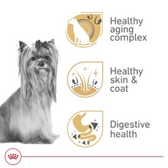 Royal Canin Yorkshire Terrier Adult 8 Dry Dog Food For Aging Dogs