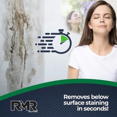 RMR-86 Instant Mold Stain and Mildew Remover 320 Fl Oz (Pack of 1)