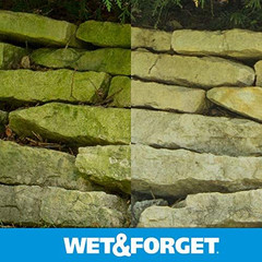 Wet & Forget Outdoor Moss, Mold, Mildew, & 64 Fluid Ounces, Ready to Use