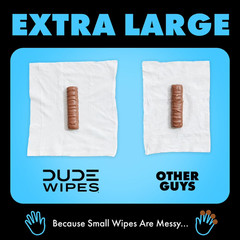 DUDE Wipes, Flushable Wipes, Extra Large and Fragrance-Free Wipes (400 ct.)