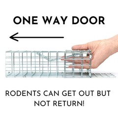 Excluder One Way Squirrel and Rodent Trap – Control Mice, Rats, Bats, Silver